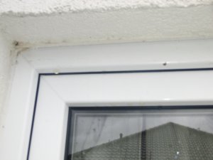 Fenster_Bodentief links2_web.jpg