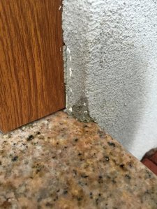 IMG_0194.jpg