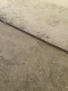 image1.JPG