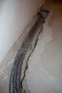 IMG_1830.jpg