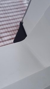 20150130_090813.jpg