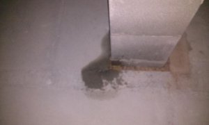 20150129_182317.jpg