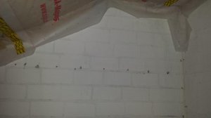 20150302_195227.jpg