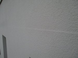 IMG_1081.jpg