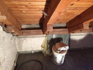 IMG_6577 (Large).jpg