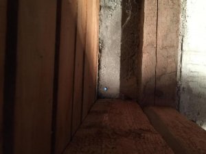 IMG_6575 (Large).jpg