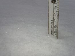 11132100_948510958512741_726919773_n.jpg