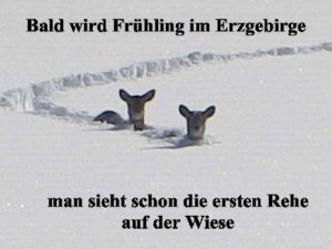 image00121.jpg