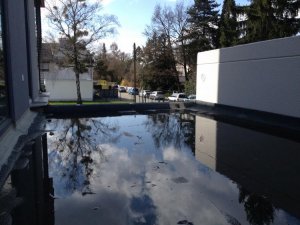 IMG_3247.jpg
