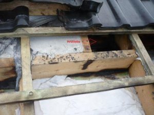 Außenansicht auf Schornstein_I.jpg