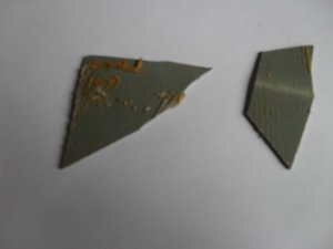 SDC16494.jpg