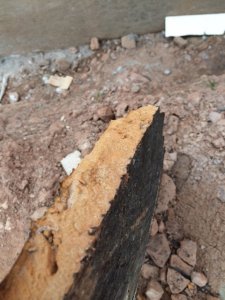 Foto 3.JPG