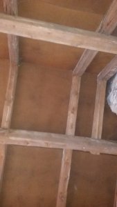 Sparrenfelder Firstbereich.jpg