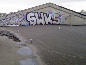 IMG_20150603_133214.jpg