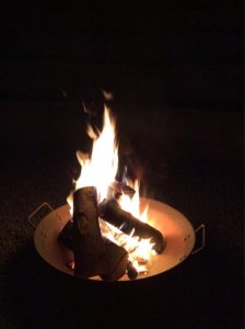 ImageUploadedByTapatalk1435611937.575317.jpg