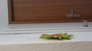 20150712_115938.jpg