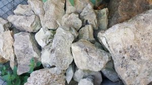 2015-07-21 08.55.11.jpg