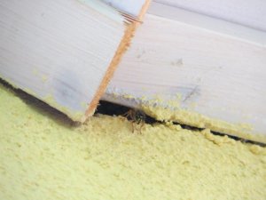 IMG_3941.jpg