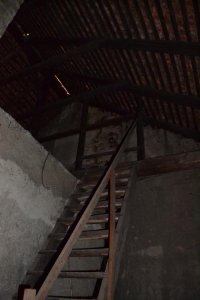 DSC_0379.jpg