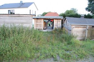 IMG_2924 (Medium).jpg