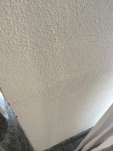 IMG_1835.jpg