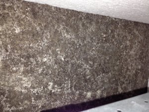 IMG_3989.JPG