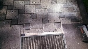 IMG_20150831_114425_472.jpg