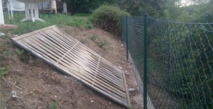 Garten2.jpg