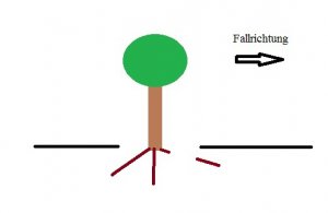 Bild 001.jpg