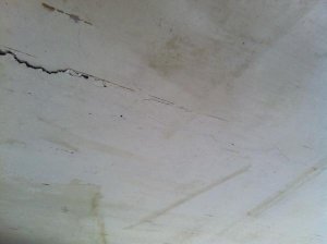 2012-08-17 17.33.11.jpg