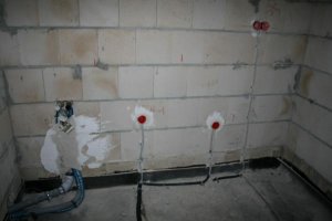 IMG_4239.jpg