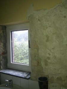 IMG_20120907_102224.jpg