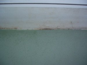 doracuyu.wand 008.jpg
