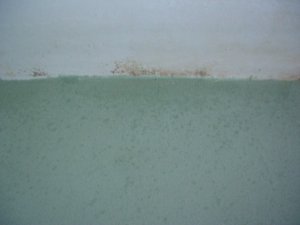doracuyu.wand 013.jpg