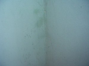 doracuyu.wand 014.jpg