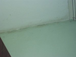 hauswand aussen 004.jpg