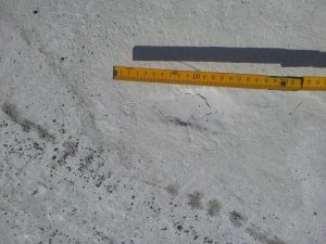 20121003_150252.jpg