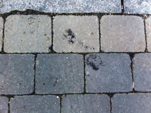 Auffahrt2.jpg