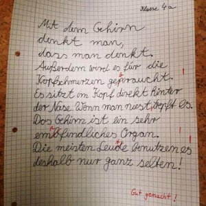 gehirn.jpg