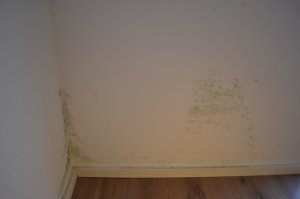 bild3.jpg