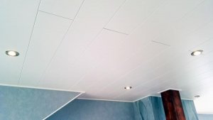 IMG_20150928_154203.jpg