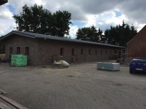 IMG_0239.jpg