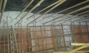 20151104_070354.jpg