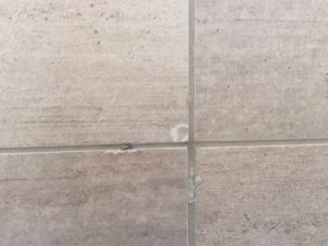 IMG_1922.JPG