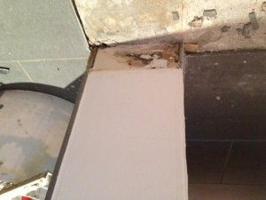 IMG_2345.jpg