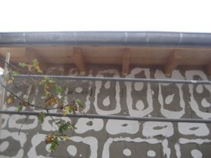IMG_3164_x.JPG