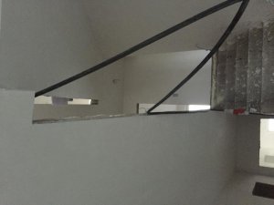 IMG_5290.jpg