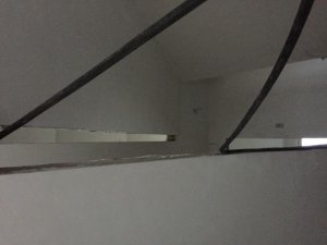 IMG_5291.jpg