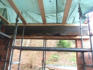 IMG_6021[1].jpg