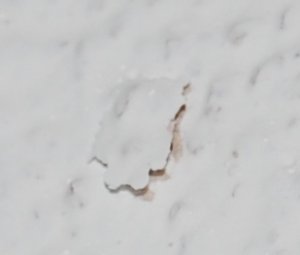 DSC_0004.jpg